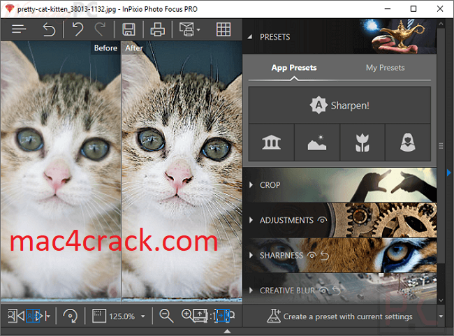 InPixio Photo Focus Pro 4.2.7759.21167 Crack Keygen 2023 Latest